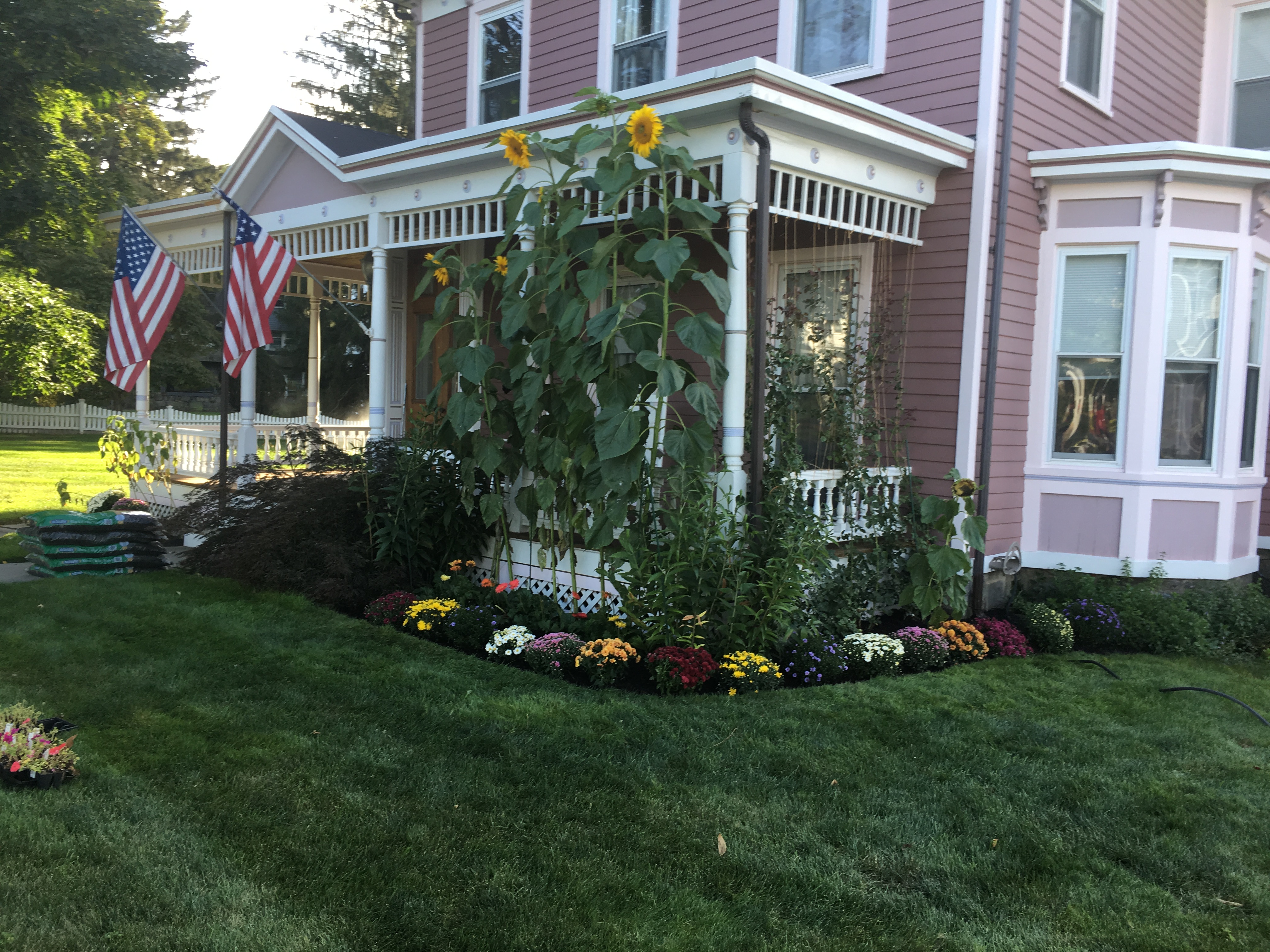 Lawn maintenance in Orange County